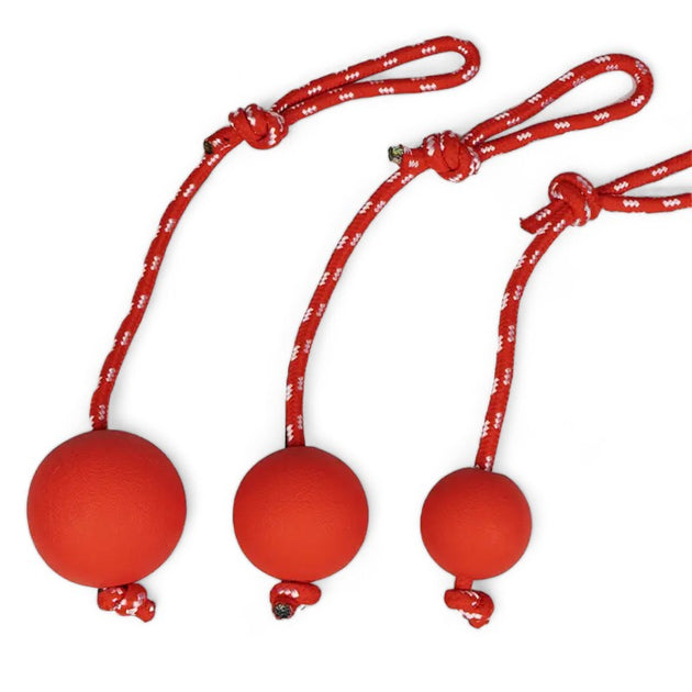 Lot 5 Balles Rebondissantes 6cm Caoutchouc - Piscine Plage Anti-Stress Enfants Adultes