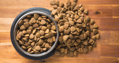 Croquettes pour Chien : Pourquoi Éviter les Additifs Artificiels ?