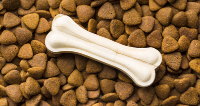 Croquettes pour Chien et Santé Dentaire : Tout Savoir !