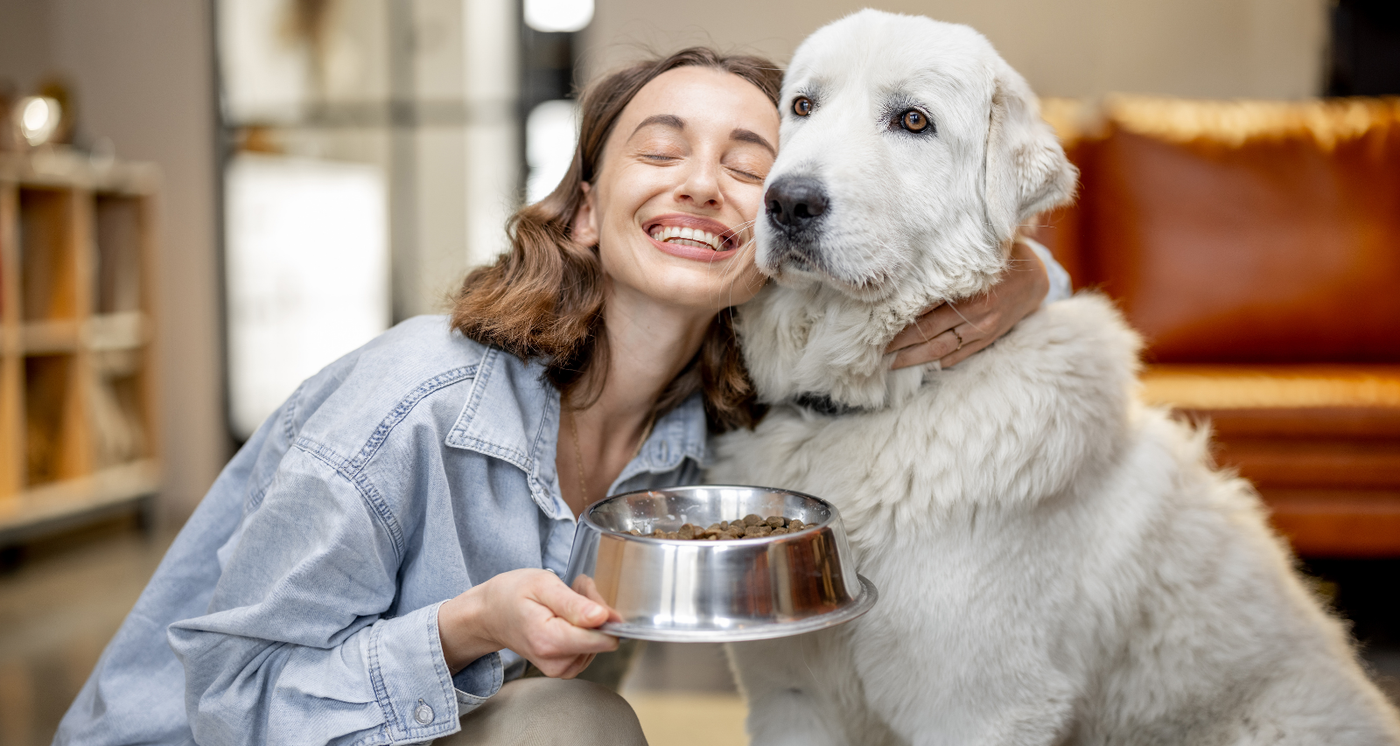 Est-il possible de Mélanger deux marques de Croquettes pour Chien ?