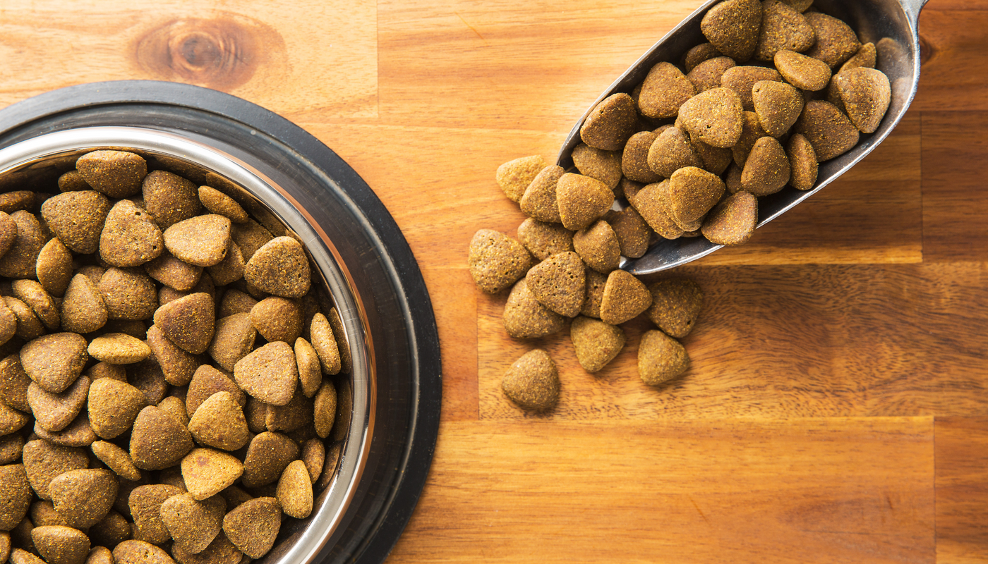Choisir des Croquettes pour Chien avec Arthrose
