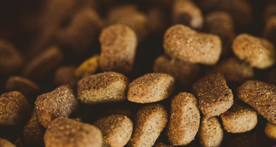 Différences entre Croquettes Chien Sénior et Croquettes Chiens Adulte