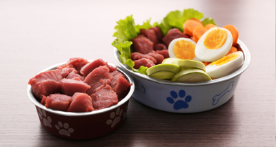Croquettes Bio pour Chien : Guide sur l'Alimentation Bio