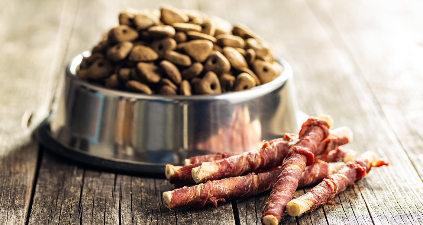 Ingrédients à privilégier dans les Croquettes pour Chien