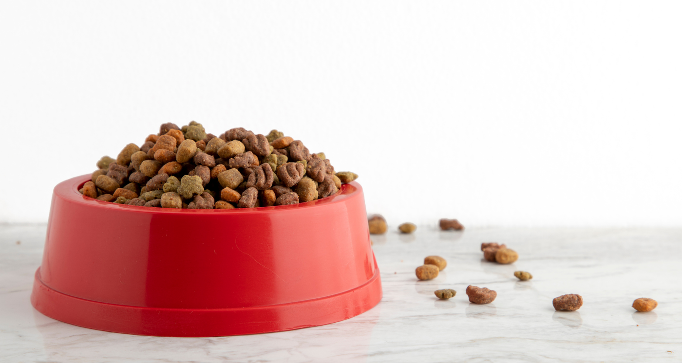 quand changer croquettes chien