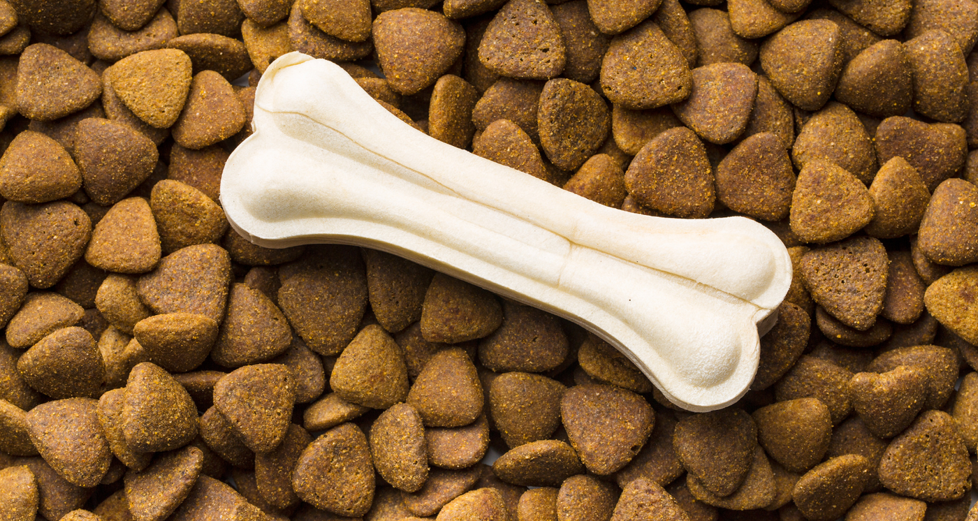 Croquettes Chien Éviter