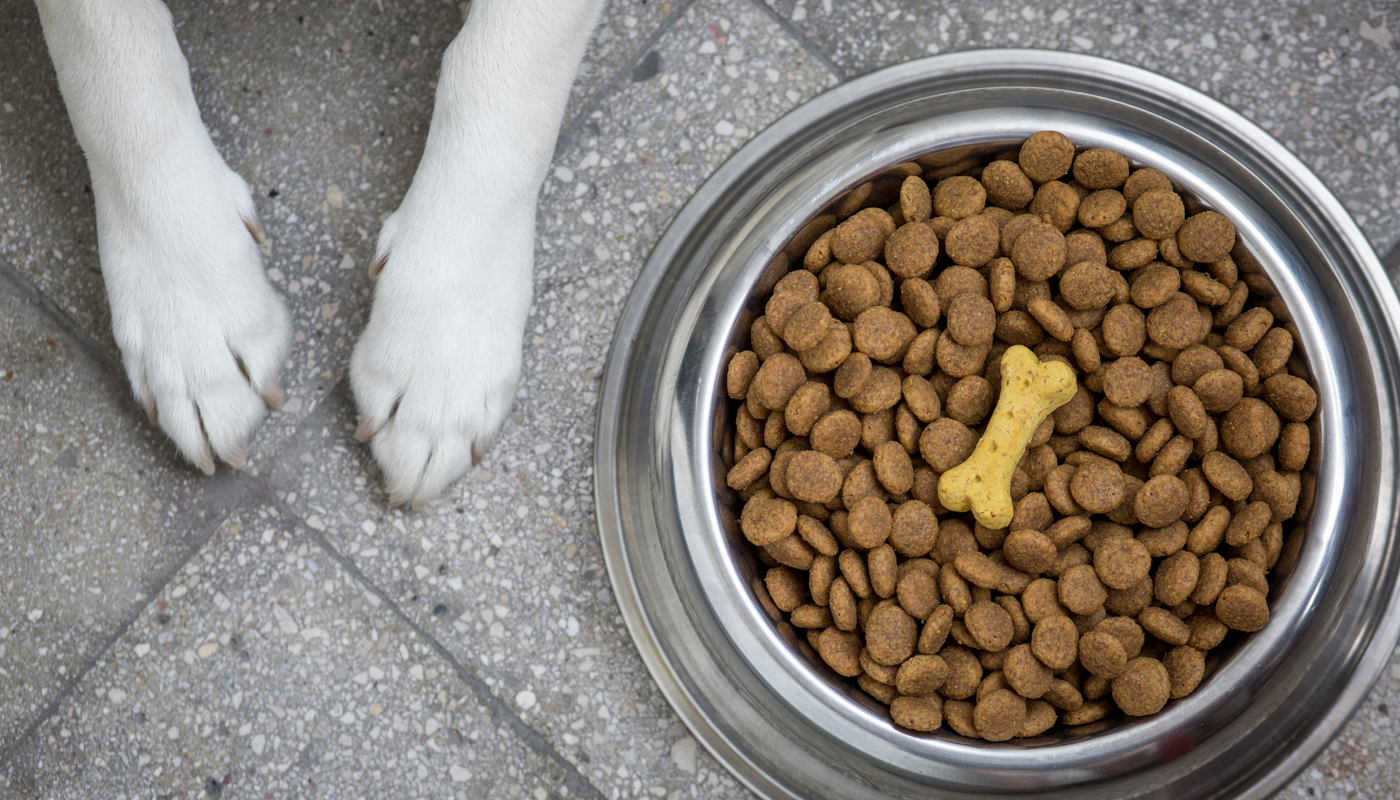 Quelle Taille de Paquet de Croquette pour Chien Choisir ?