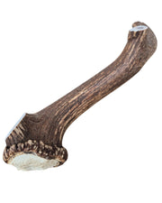 Bois de cerf 4XL Entier Chien destructeur (500gr)