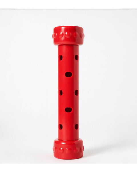 Jouet de détection d'odeur pour chien, FRANCE CROQUETTES