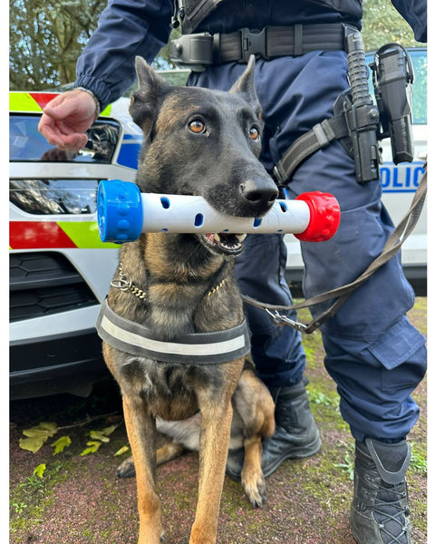 Jouet de détection d'odeur pour chien, FRANCE CROQUETTES