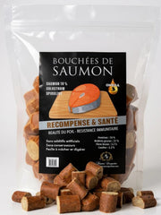 FRIANDISE POUR CHIEN Bouchées de Saumon FRANCE CROQUETTES