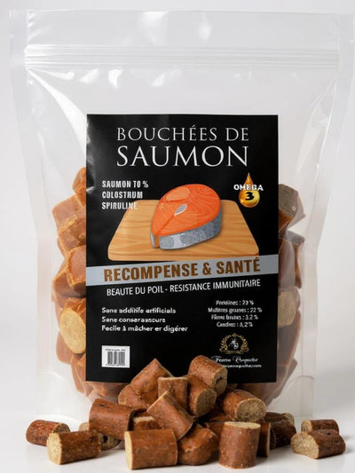 FRIANDISE POUR CHIEN Bouchées de Saumon FRANCE CROQUETTES