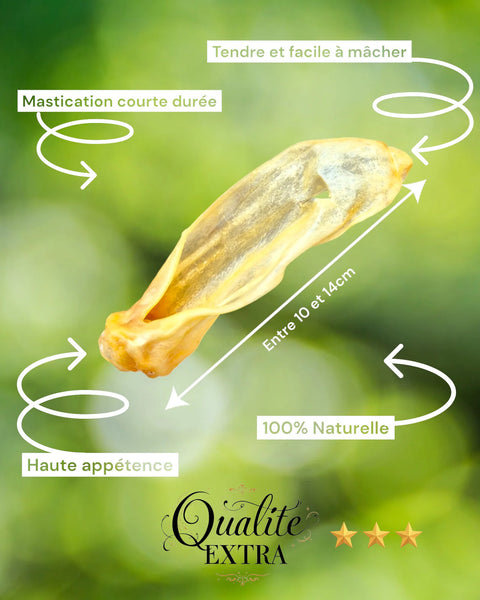 FRIANDISE POUR CHIEN Oreilles d'agneau (Digestion sensible️) FRANCE CROQUETTES
