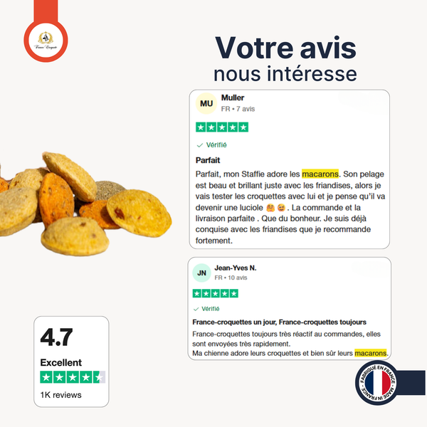 LES MACARONS 
