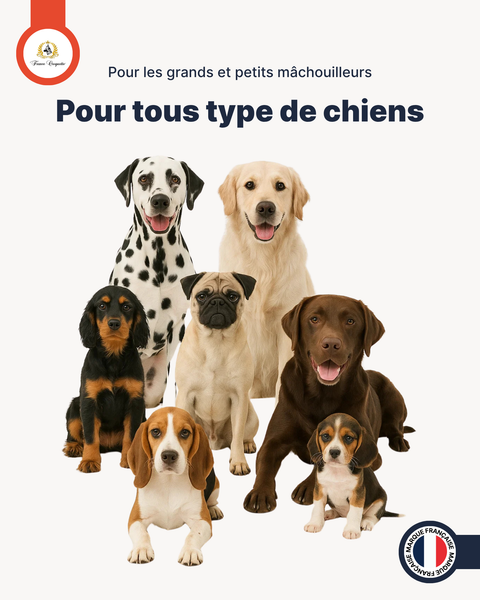 TRACHEES DE BOEUF 30cm