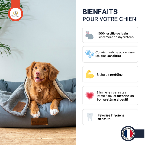 Oreilles de lapin poilues