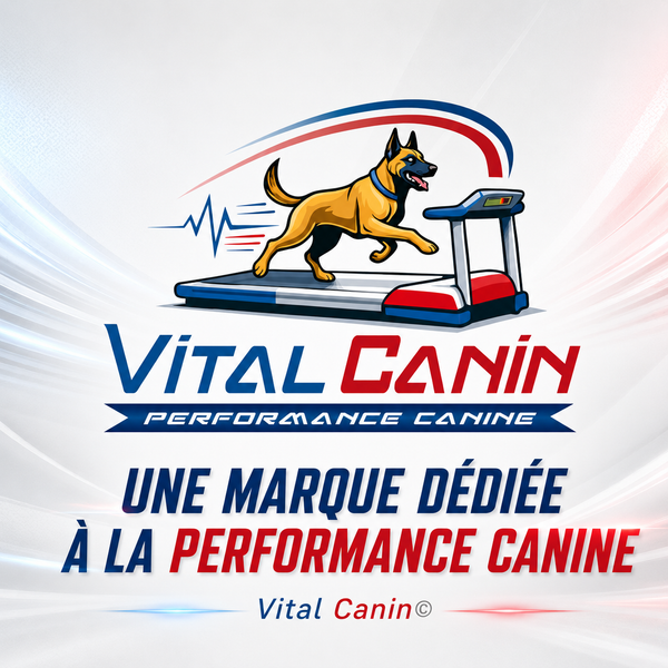 DOG TRAINER