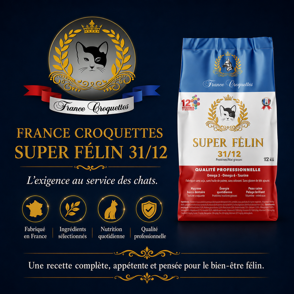 SUPER FELIN 31/12
