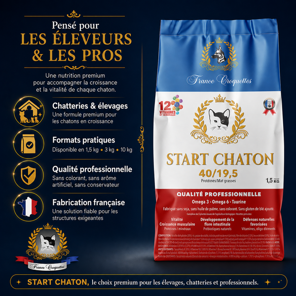 START CHATON