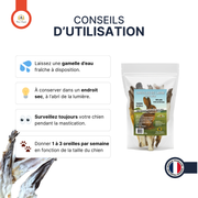 Oreilles de lapin poilues