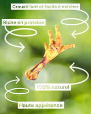 Pattes de poulet