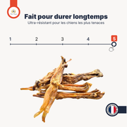 Tendons Achille de bœuf (Ultra résistant)