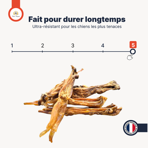 Tendons Achille de bœuf (Ultra résistant)