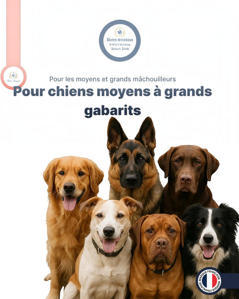 Groins de porc sechés