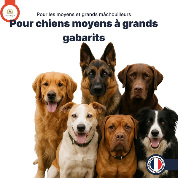 Groins de porc sechés
