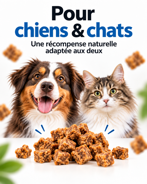 Sachet refermable de 300g de bouchées de canard France Croquettes, friandises naturelles pour chien en cubes.