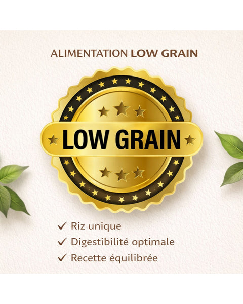 ROYAL AGNEAU MAXI CHIOT