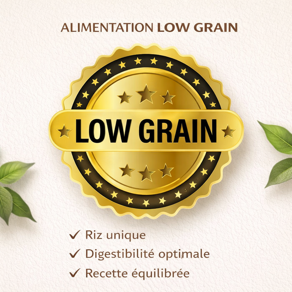 Gold MAXI Chiot Junior 30/15