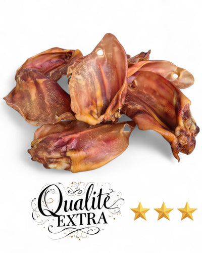 Oreilles de porc XXL