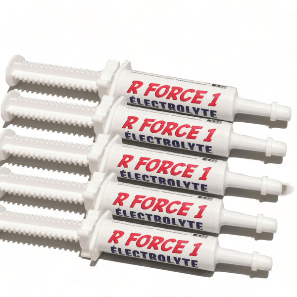R FORCE 1 Energizer Électrolyte/Récup./Boost
