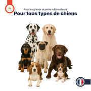 Aiguillettes de Poulet