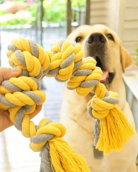 Corde de coton pour chiens de grande taille