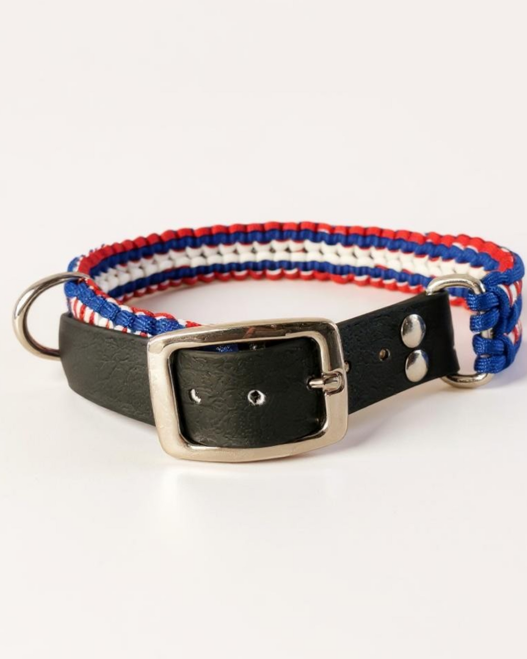 Sifflet en Corne de Buffle pour Chien avec Corde en Cuir – Portée : 160 m - 6 x 1,5 x 1,5 cm Sifflet en Corne de Buffle pour Chien avec Corde en Cuir – Portée : 160 m - 6 x 1,5 x 1,5 cm