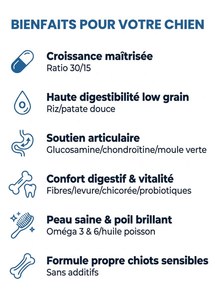 Sac de croquettes France Croquettes Royal Agneau Maxi Chiots pour chiots de 3 à 15 mois, formule hypoallergénique