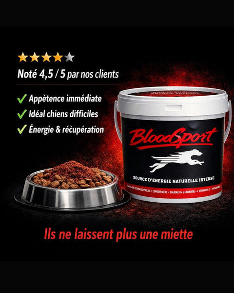 Pot de complément alimentaire France Croquettes BloodSport pour chiens sportifs, riche en sang de bovin lyophilisé