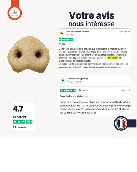 Sachet de friandises France Croquettes, groins de porc soufflés naturels pour chien, texture croustillante et légère