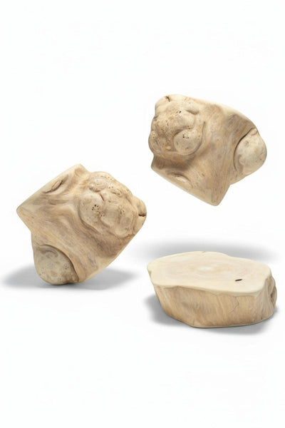 Racine de caféier France Croquettes, jouet à mâcher naturel et durable pour chien, bois dense et sans éclats.
