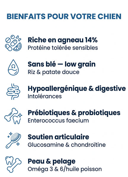 ROYAL AGNEAU MEDIUM ADULTE