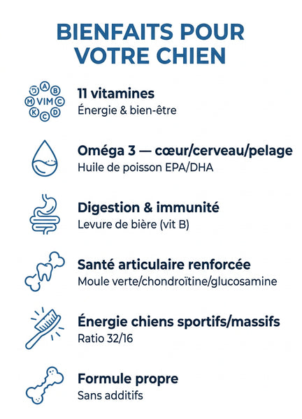 Sport Energy+ 32/16 : sac classique