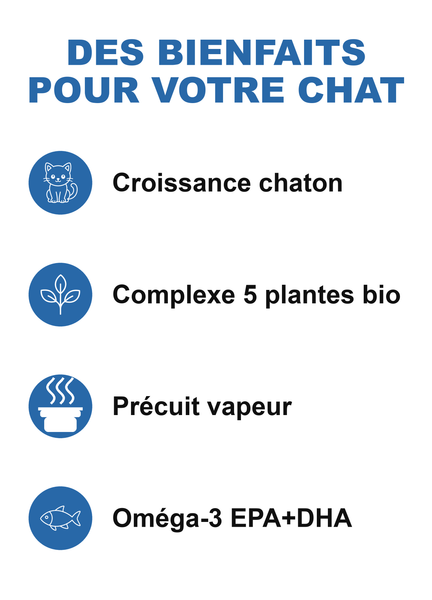 START CHATON — sac de croquettes pour chat