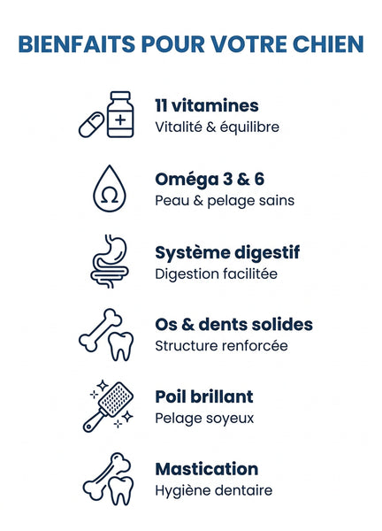 Gold Adult Premium 28/16 — sac Classique | France Croquettes