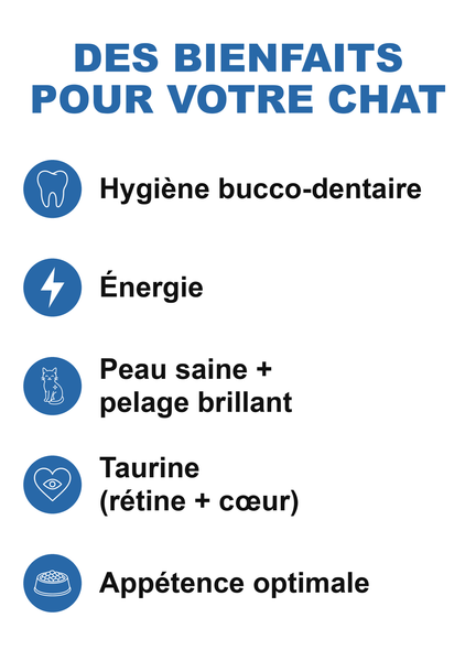 SUPER FELIN 31/12 — sac de croquettes pour chat