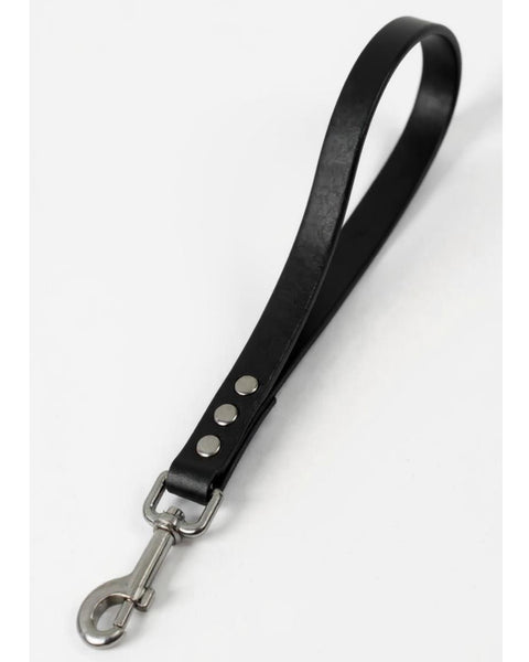 Laisse 35cm BIOTHANE