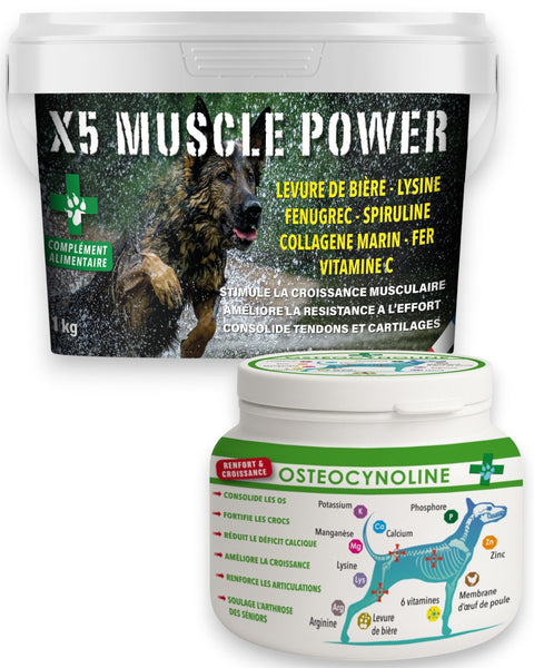 Pack : Muscles, force & Articulations