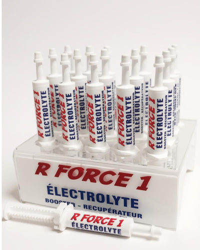 R FORCE 1 Energizer Électrolyte/Récup./Boost