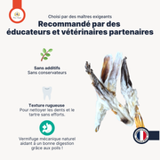 Oreilles de lapin poilues